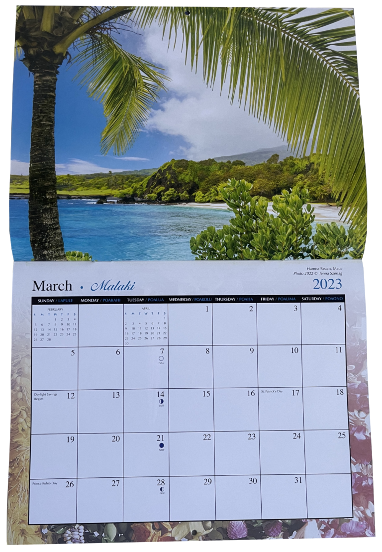 Hawaii Pictorial Calendar 2023 Tropical - Kawaii Aloha Hawaii Shop