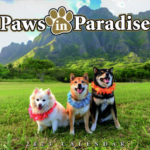 Puppy Dogs Hawaii Calendar 2023
