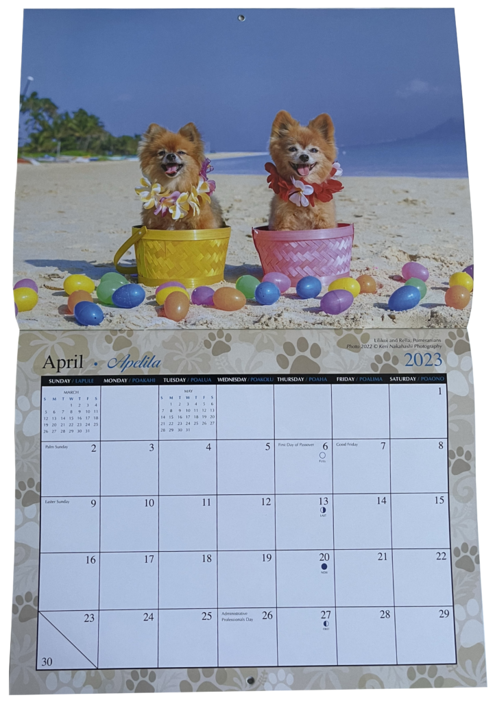 Puppy Dogs Hawaii Calendar 2023